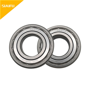 食品级不锈钢芭乐视频色版在线观看 6219ZZ